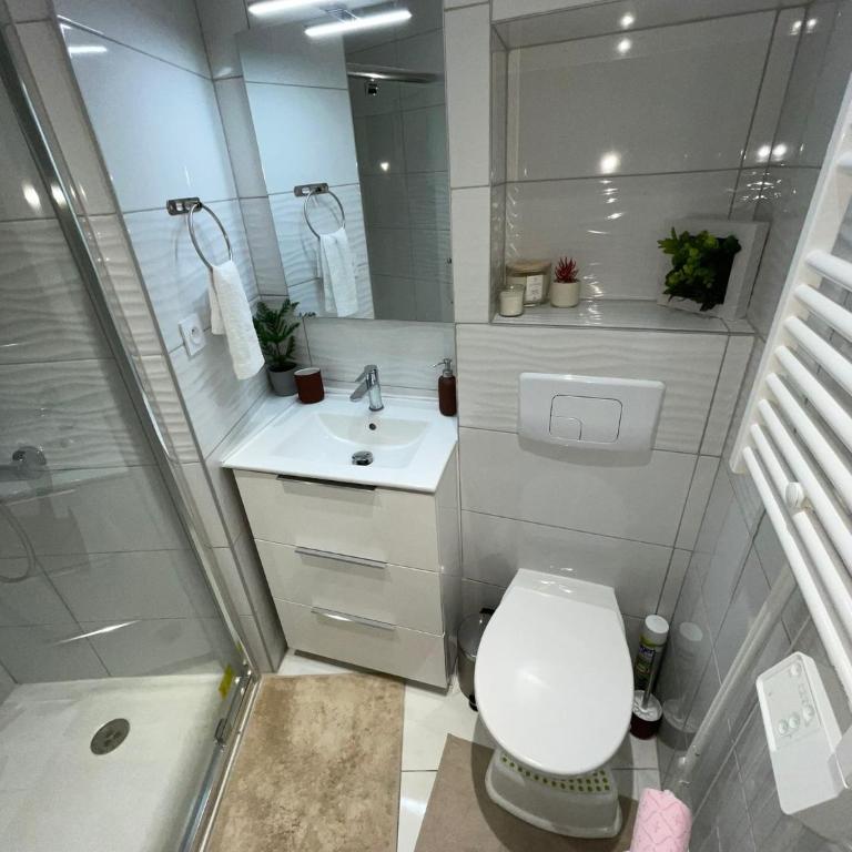 appartement entier sur Reims - 4 Voyageurs - Appartement 1 Chambre - 17
