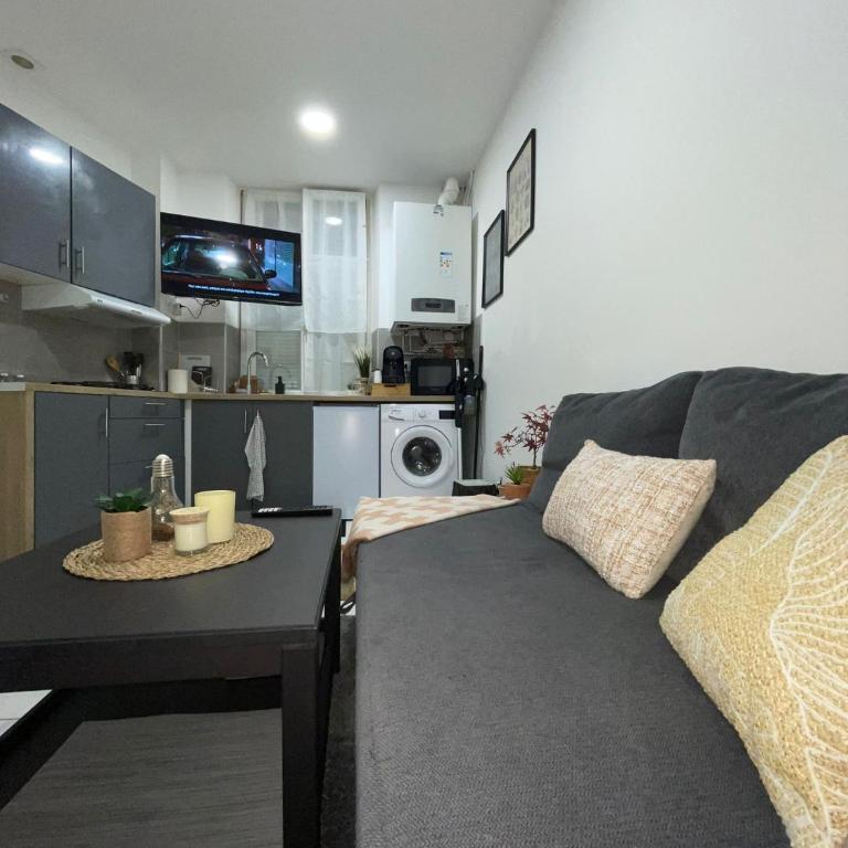 appartement entier sur Reims - 4 Voyageurs - Appartement 1 Chambre - 20