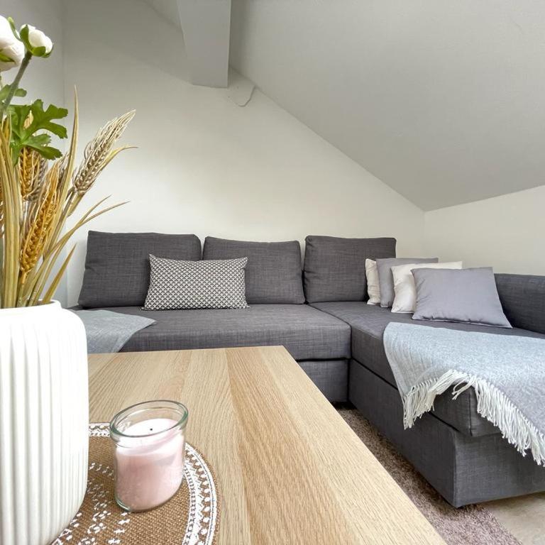 appartement entier sur Reims - 4 Voyageurs - Appartement 1 Chambre - 26