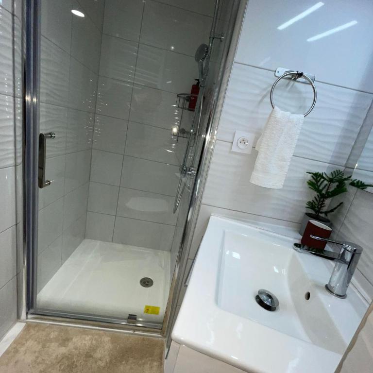 appartement entier sur Reims - 4 Voyageurs - Appartement 1 Chambre - 22