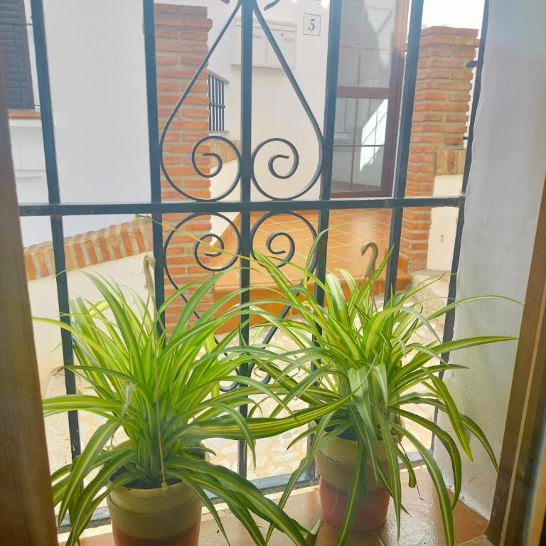 Casita del Tejedor - Apartamento de 1 dormitorio - 18