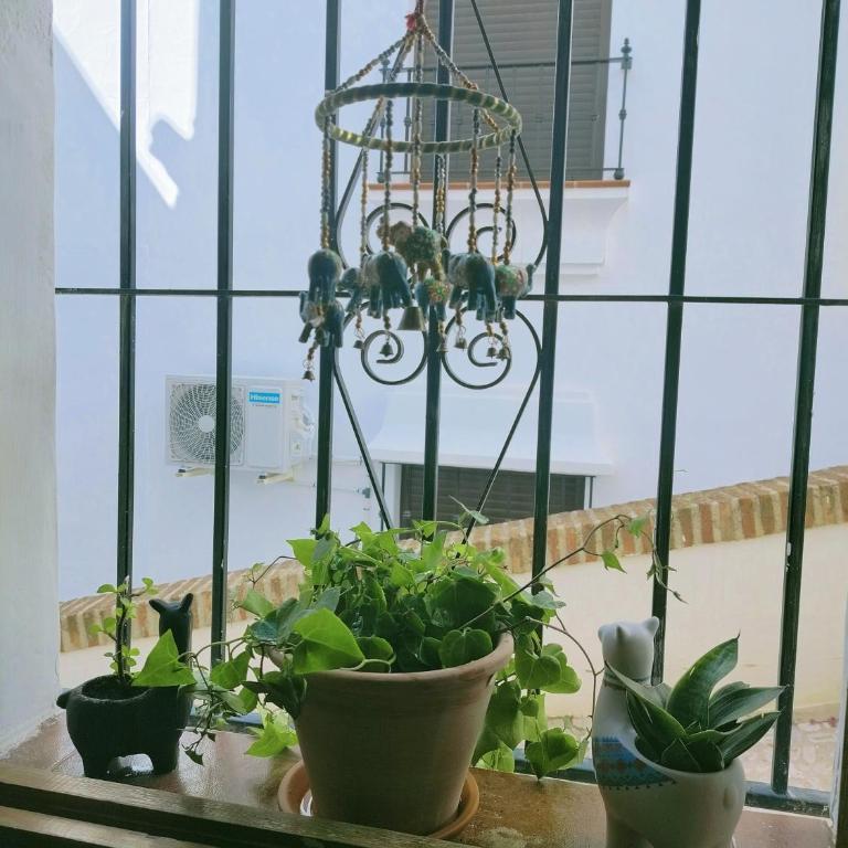 Casita del Tejedor - Apartamento de 1 dormitorio - 7