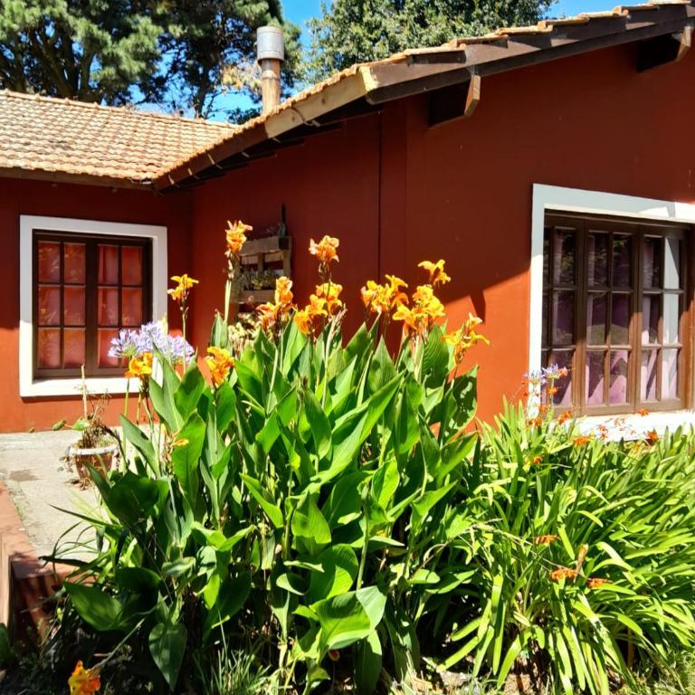LA CALANDRIA - Two-Bedroom House - 4