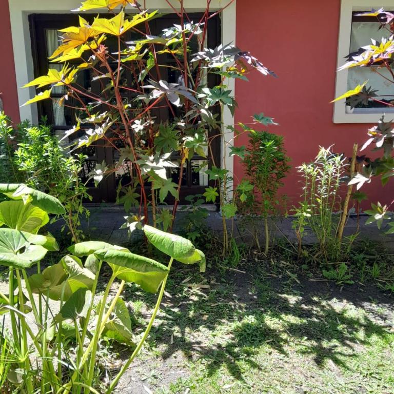 LA CALANDRIA - Two-Bedroom House - 42