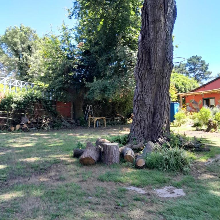 LA CALANDRIA - Two-Bedroom House - 45