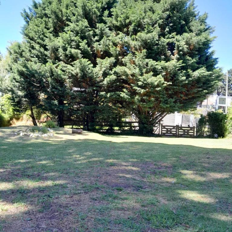 LA CALANDRIA - Two-Bedroom House - 49