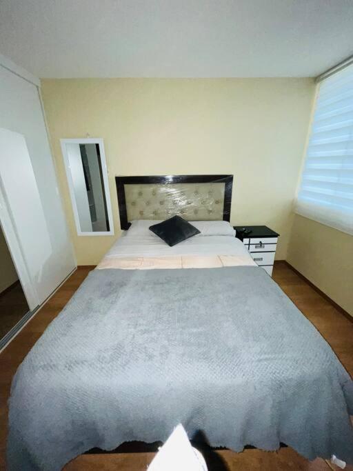 Room and kitchen - One-Bedroom Apartment - 1