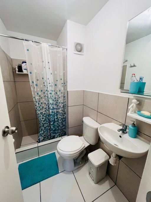 Room and kitchen - One-Bedroom Apartment - 4