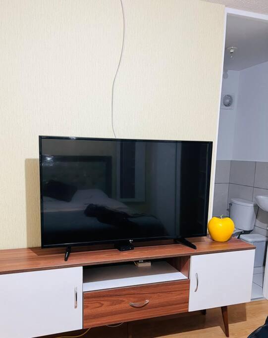Room and kitchen - One-Bedroom Apartment - 6