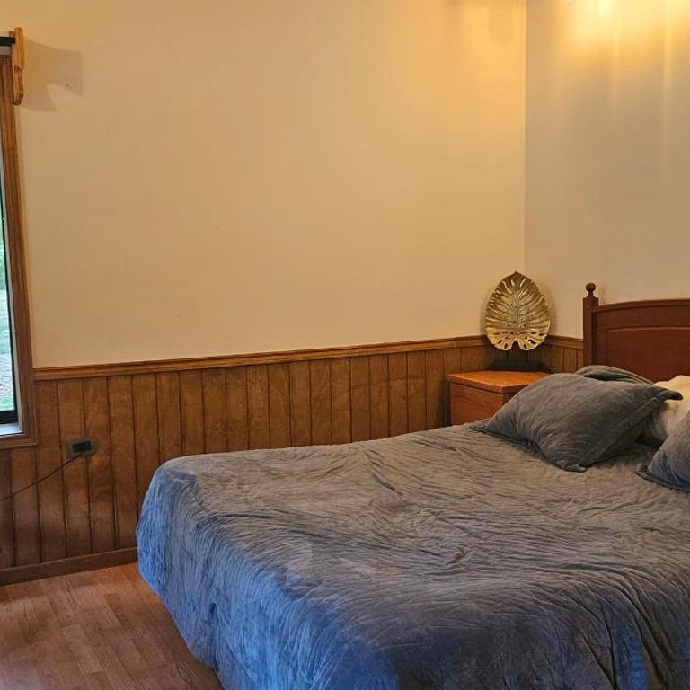 Casa de campo Villarrica - Casa de 3 dormitorios - 5