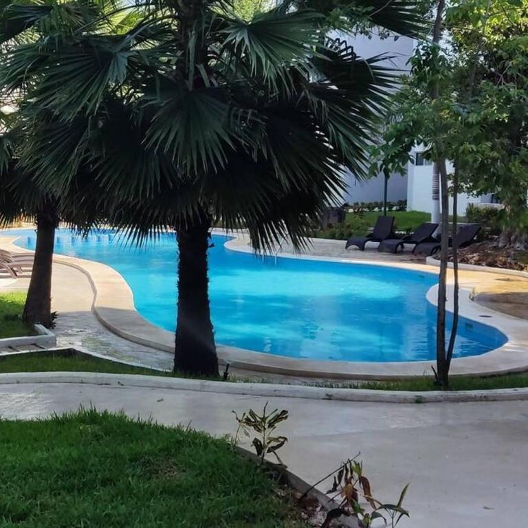 Depa Familiar PB 6pax con Alberca Rodeado de Restaurantes Zona Segura - Apartamento Estándar de 2 dormitorios - 5