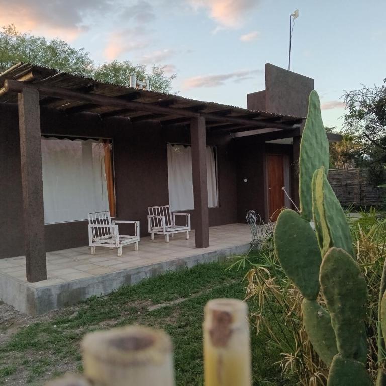 Orquídeas - Apartamento de 2 dormitorios - 2