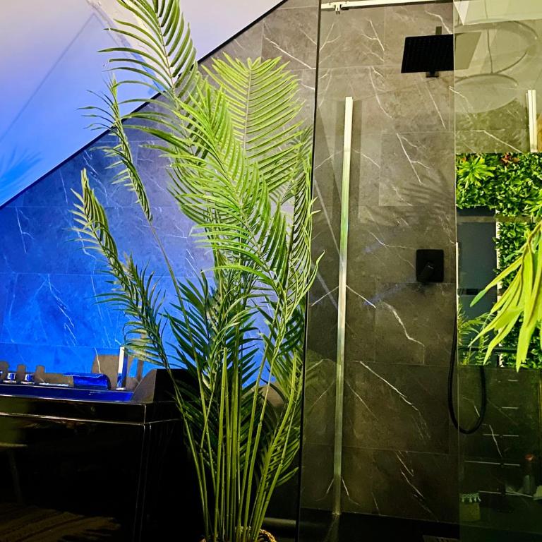 Saphir Spa - Sauna Balnéo Chromothérapie Massage - Apartamento de 1 dormitorio - 29