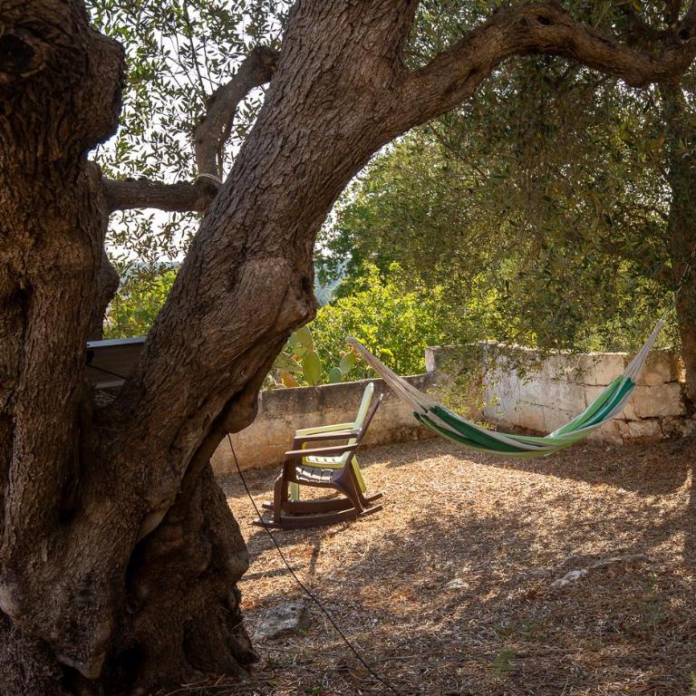 Trullo Philemon - Casa con 2 Camere da Letto - 4