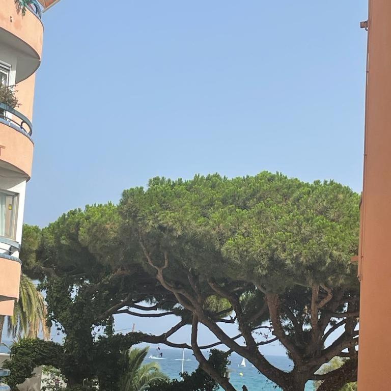 Apartamento Ridaura - Apartamento de 2 dormitorios - 8
