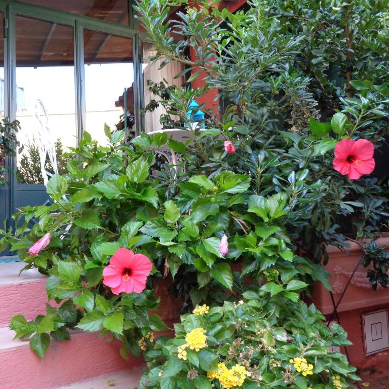 Genius Loci Cozy house with garden in the old town - One-Bedroom Apartment - 9