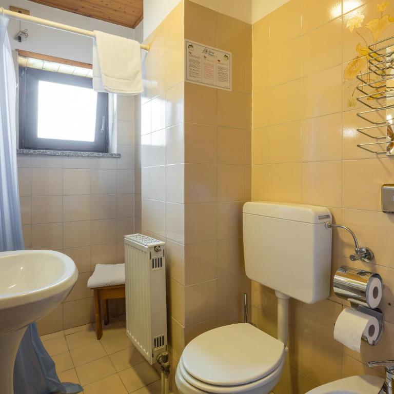 Albergo Dimaro Wellness Hotel - Camera Singola - 1