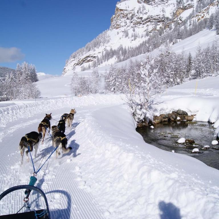 15 Grande Ourse sleeps 4/5 Vallandry - Les Arcs - Appartement 2 Chambres - 22