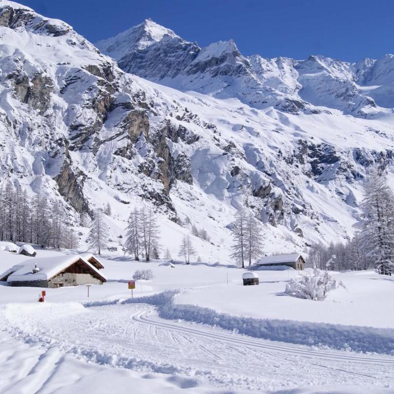 15 Grande Ourse sleeps 4/5 Vallandry - Les Arcs - Appartement 2 Chambres - 25