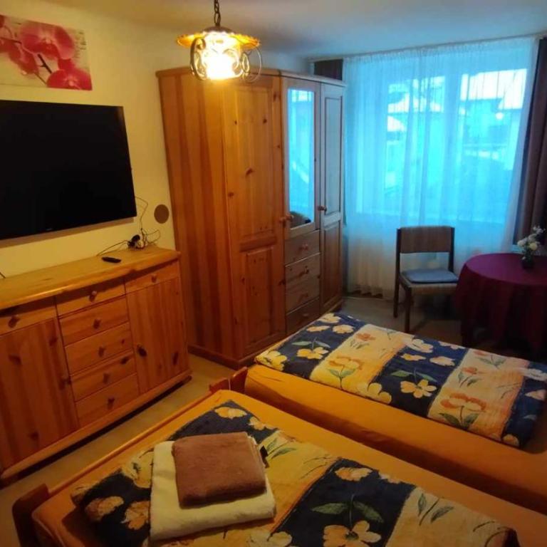 Steinadler Apartments Quiet Location Garden, Private Parking Pet Friendly - Suite 3 Chambres - 12