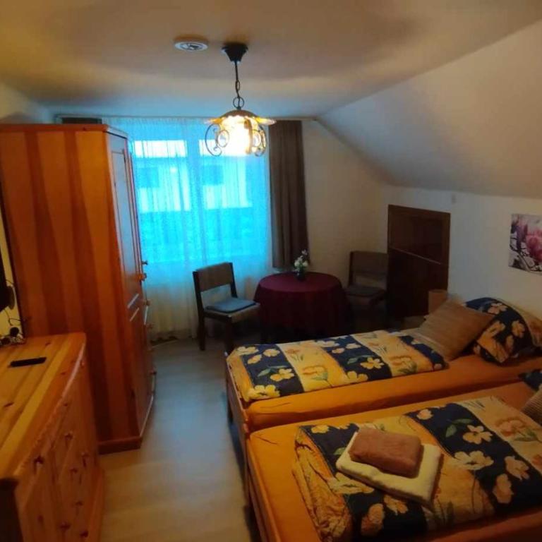 Steinadler Apartments Quiet Location Garden, Private Parking Pet Friendly - Suite 3 Chambres - 20