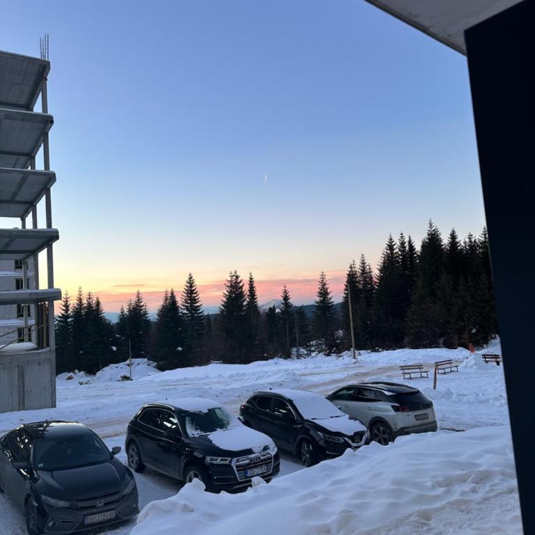 Beggy Jahorina - Apartman sa 1 Spavaćom Sobom - 21