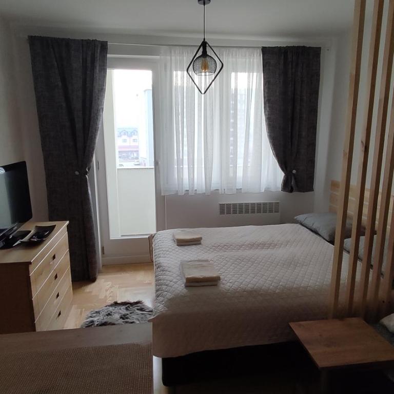 Studio apartman Pale - Studio Apartment - 5