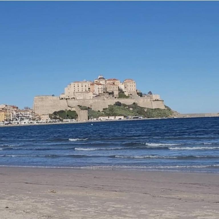Magnifique T1bis dans CALVI centre avec Parking - Appartamento con 1 Camera da Letto - 12