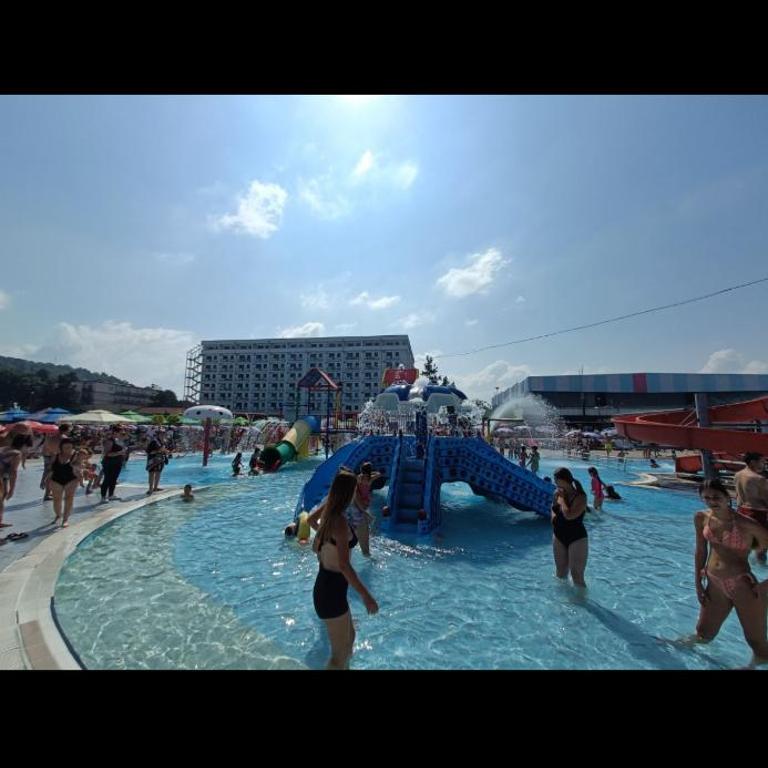 De Lux Nedeljkovic President - Apartman sa 1 Spavaćom Sobom - 62