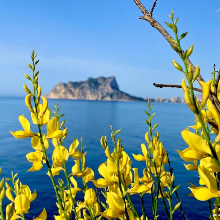 VH Costa Blanca - CASA RODRIGANDA - Three-Bedroom Villa - 42