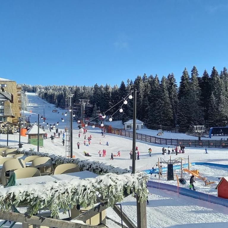 Apartman MK Kopaonik - Apartment with Mountain View - 45