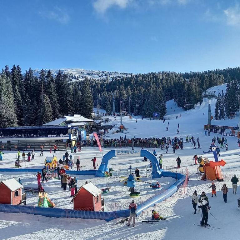 Apartman MK Kopaonik - Apartment with Mountain View - 44