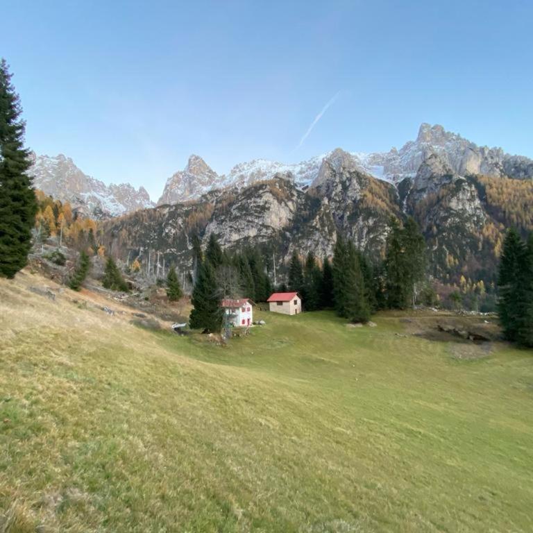 Chalet Pra Dell OSTIO Primiero San Martino di Castrozza - Chalet - 7