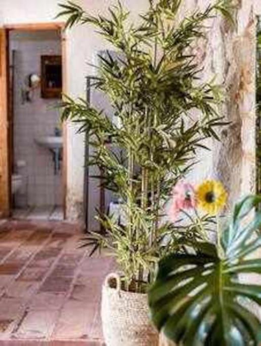 Altea Suite Vault Casa autentica del Casco antiguo by Vero - Apartamento de 1 dormitorio - 24