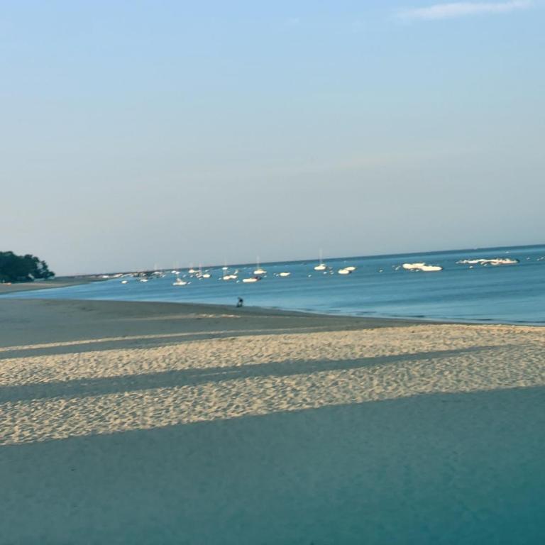Au bord de l'eau rend la vie à Arcachon - Apartamento de 1 dormitorio - 16
