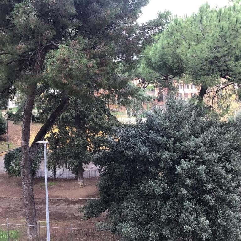 in the garden - Appartamento con 1 Camera da Letto - 15