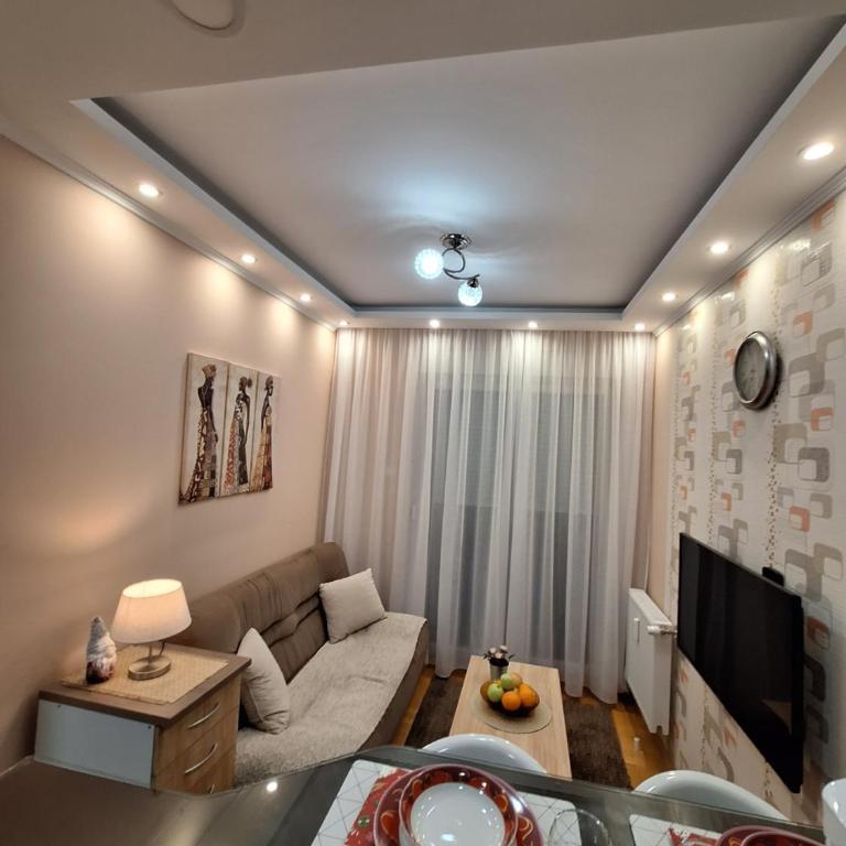 Lux Apartment Sanja 1 - One-Bedroom Apartment - 13