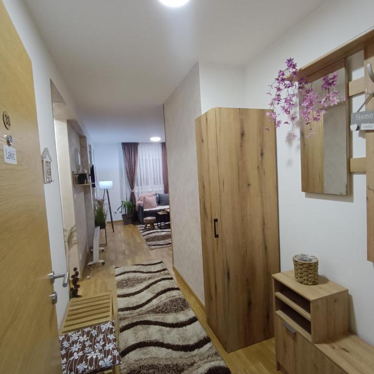 Verona Lakic Vrnjacka Banja - Apartman sa 1 Spavaćom Sobom - 17