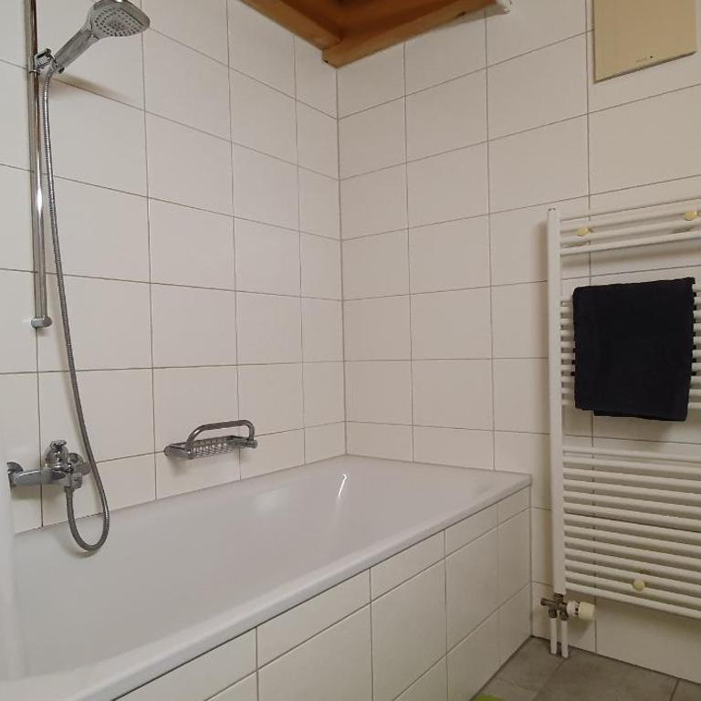 Apartment Honegg - Apartment mit Blick auf die Berge - 17