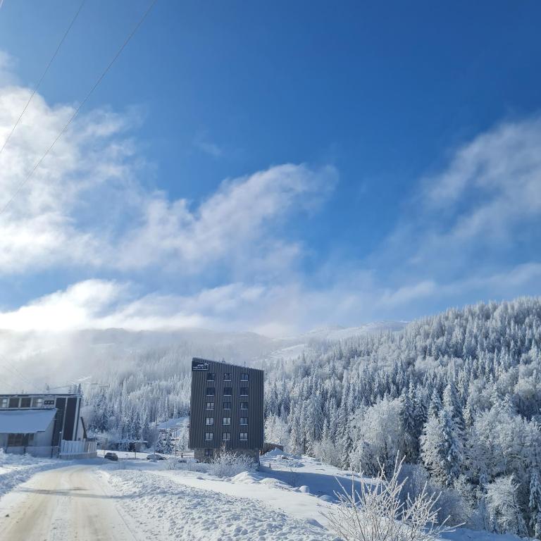 Apartmani Nova planina 02*03 - One-Bedroom Apartment - 1
