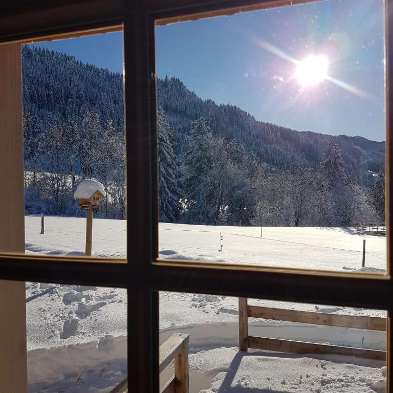4-Sterne Tiny House & erholsame Ruhe und ganz viel Natur im Oberallgäu - Chalet mit 1 Schlafzimmer - 14