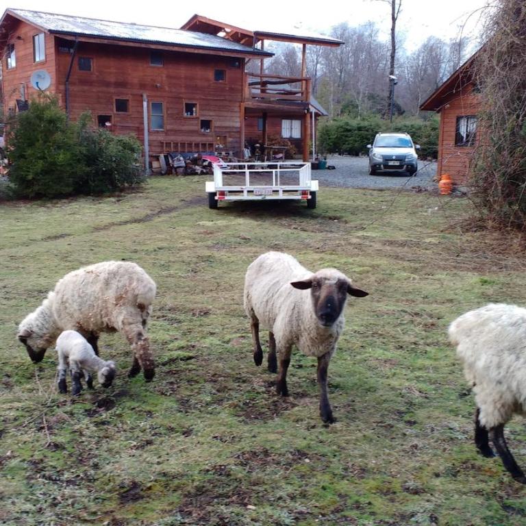 Bosques del Claro Sur - Bungalow - 24