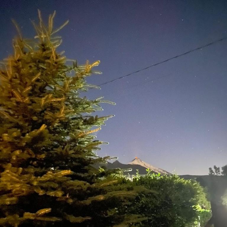 Bosques del Claro Sur - Bungalow - 29