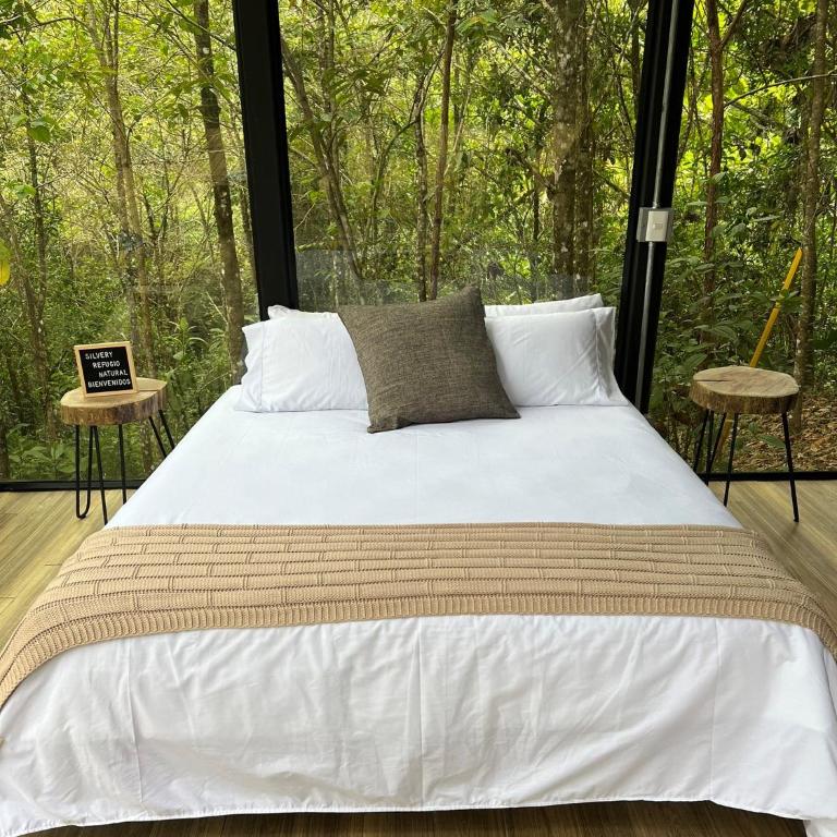 Silvery Bungalows en el Bosque - Deluxe Bungalow - 4