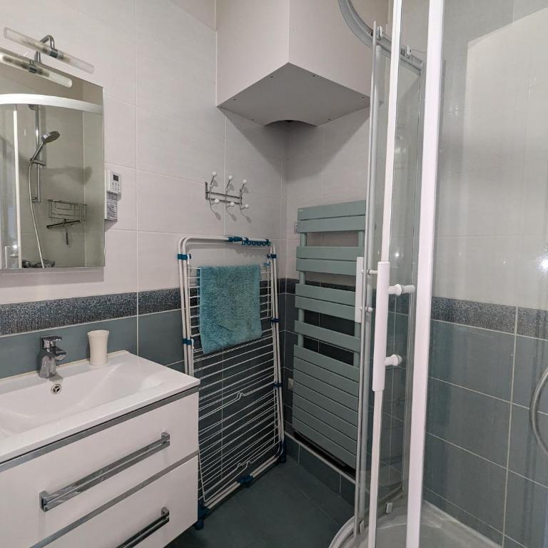 Charmant T2 au Centre d'Arcachon avec Garage - À Proximité de la Plage et des Commerces - FR-1-420-88 - Apartment (4 Erwachsene) - 11