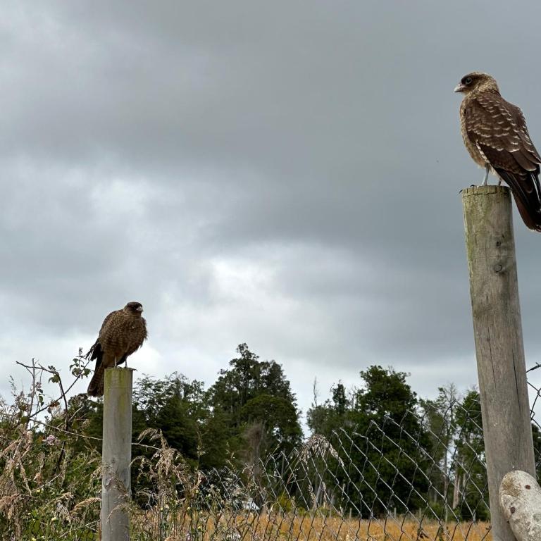 Cabañas Renacer Puerto Varas - Casa de 3 dormitorios - 41