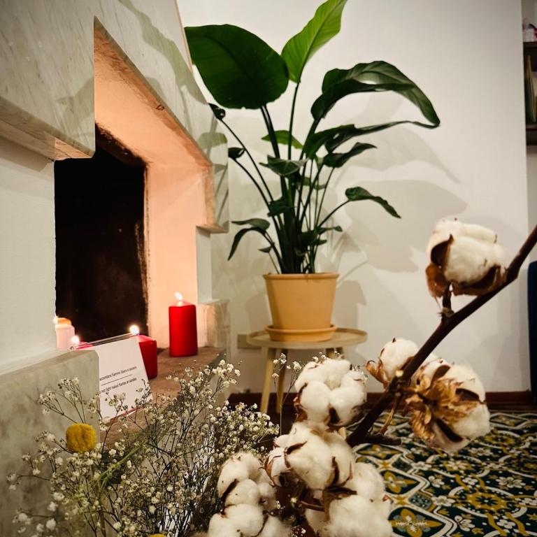 WOW HOUSE in Torino - Deluxe Apartment - 85