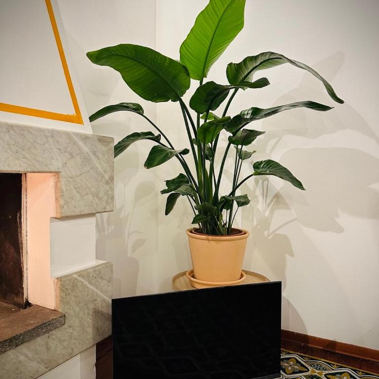 WOW HOUSE in Torino - Deluxe Apartment - 82