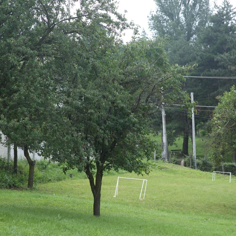 Vip Villa Jagodina - Jakuzzi is free - Private parking is free - Beautiful view of nature - Kuća sa 1 Spavaćom Sobom - 10
