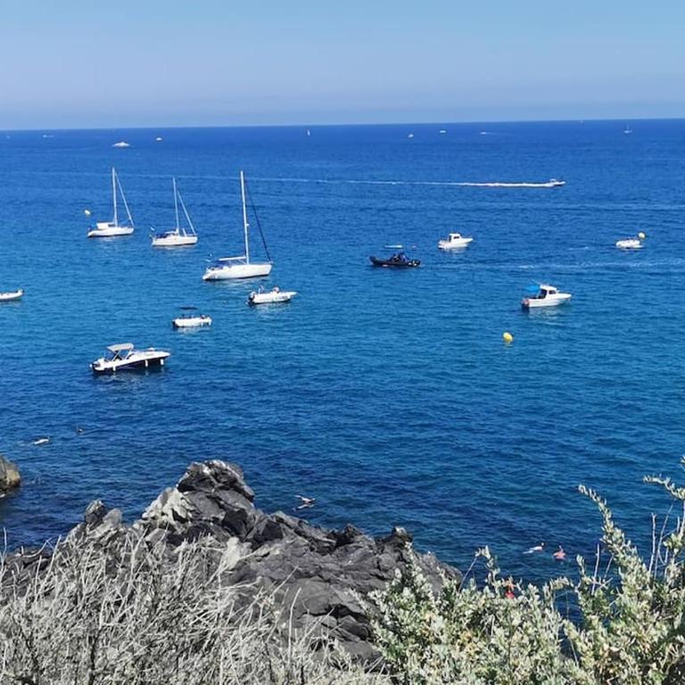 Port Dauphin 3 -Cap d'Agde- - Apartamento de 1 dormitorio - 27